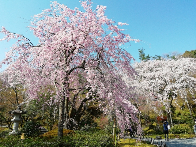 天龍寺の概要